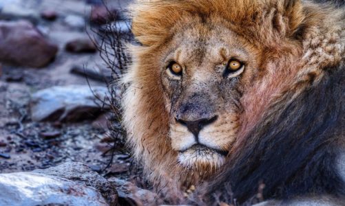 Możliwości najnowszego Fujifilm GFX 50R w fotografii podróżniczej Jacka Boneckiego