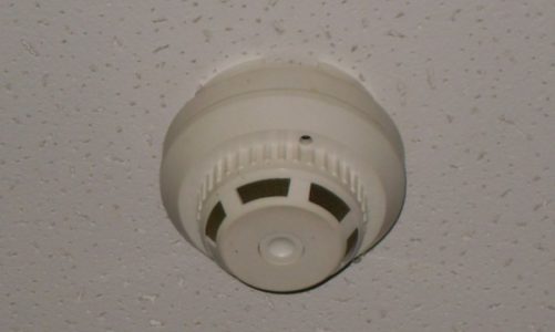 Podglądani na urlopie