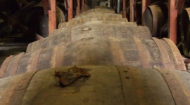 JF Hillebrand o dostawie jednych z najdroższych whisky i rumu na świecie Transport, BIZNES - Grupa JF Hillebrand, światowy operator logistyczny specjalizujący się w obsłudze rynku alkoholi i napojów, zrealizował dwie dostawy ostatnich butelek legendarnych alkoholi: 51-letniej japońskiej whisky oraz 20-letniego rumu trynidadzkiego.