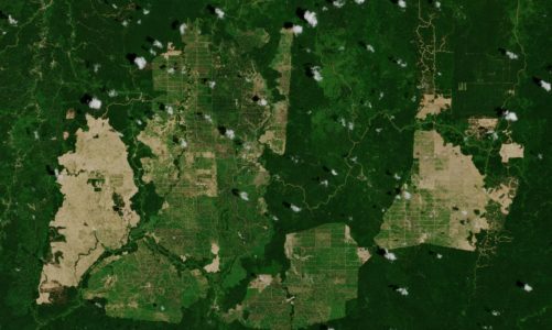 Satelitarna rewolucja w rolnictwie