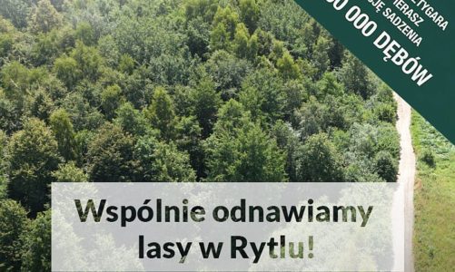 POSADĹš 100 000 DÄBĂW ZE SZTYGAREM!