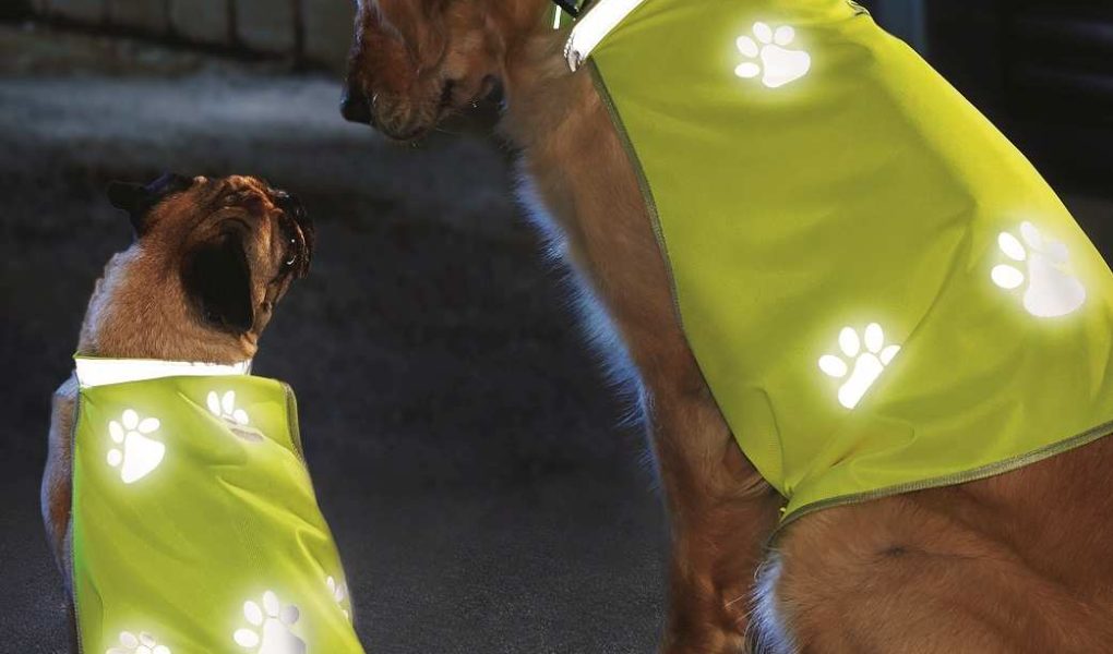 Jesienne aktywności rodzinne. Kilka gadżetów, które pomogą utrzymać formą