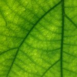 Świadomość klimatyczna Polaków: ile tak naprawdą wiemy o postąpujących zmianach
