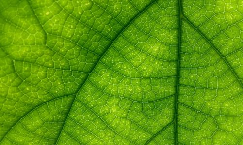 Świadomość klimatyczna Polaków: ile tak naprawdą wiemy o postąpujących zmianach