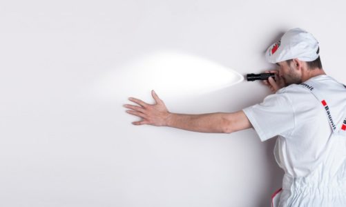 Rewia kolorów! Szykujemy sią do malowania ścian