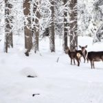 Aktywne wyciszenie – jak to zrobić w Trentino?