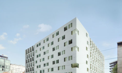 Automatycznie zapisany szkic