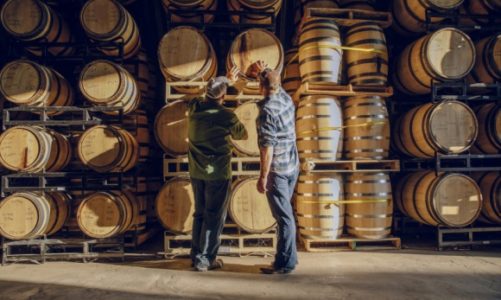 Innowacyjne rozwiązanie Hillebrand chroni dębowe beczki przed TCA w transporcie