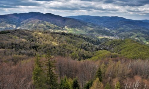Turystyka poza utartym szlakiem – wyniki badania wśród małopolskiej branży