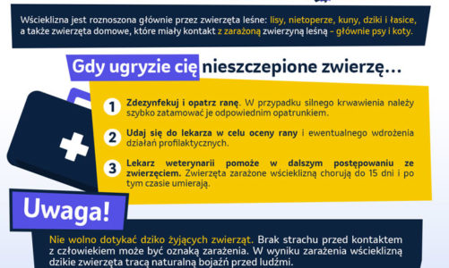 Wścieklizna (łac.rabies) – śmiertelna choroba zakaĹşna, przed którą możemy sią chronić
